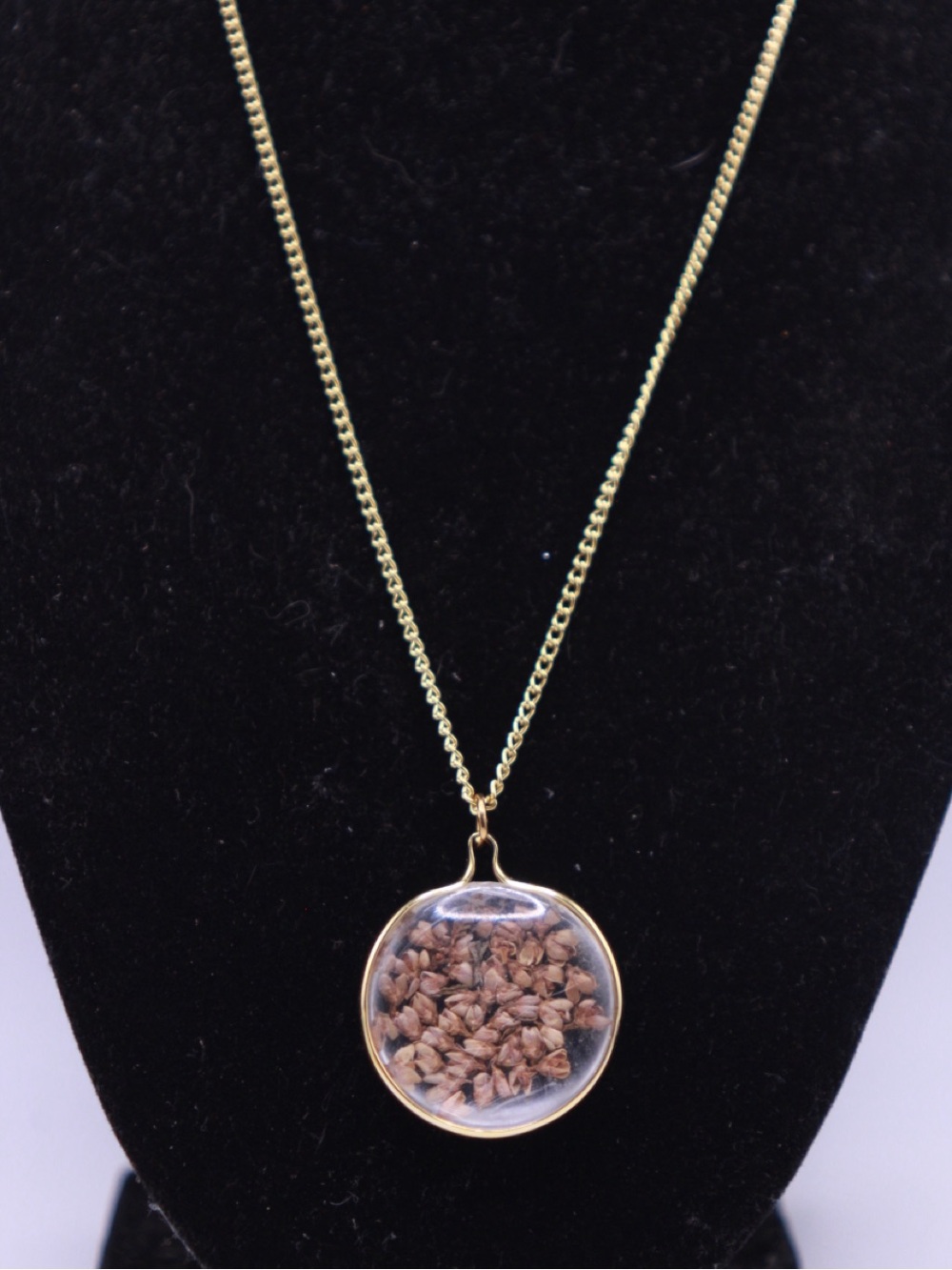 Vintage unsigned Gold-Tone Botanical Seed Resin Pendant Necklace 18”
